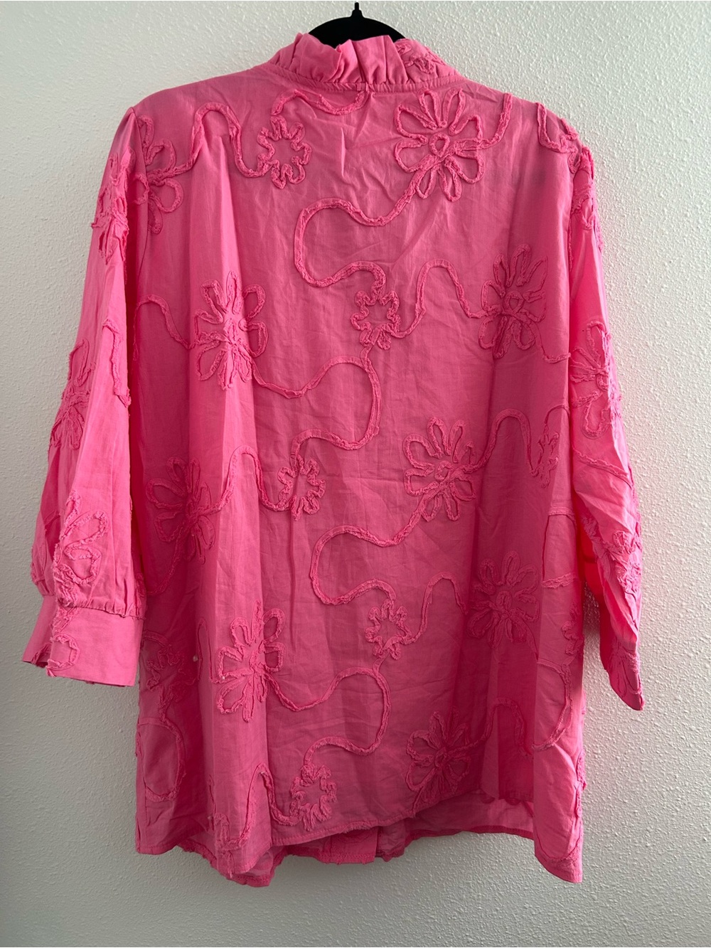 CherryBetty Pink Embroidered Ruffle-Collar Button Down Shirt - Picture 4 of 4
